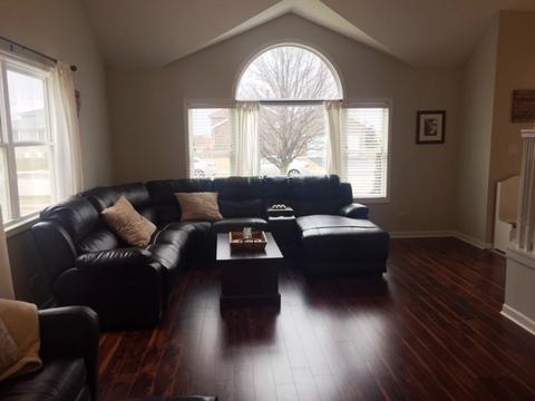 276 Hunters Dr, Beecher, IL 60401 photo 4