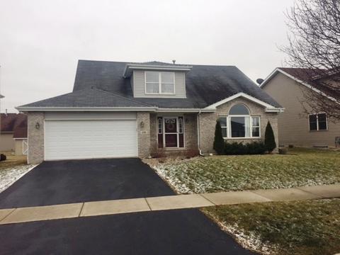 276 Hunters Dr, Beecher, IL 60401 photo 1