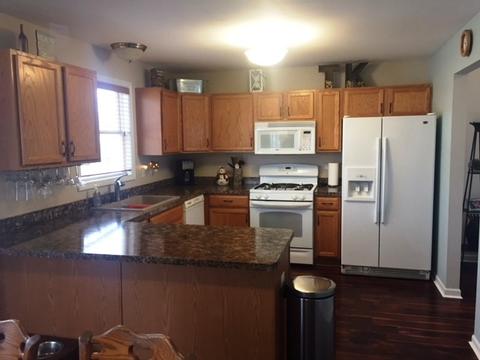 276 Hunters Dr, Beecher, IL 60401 photo 10