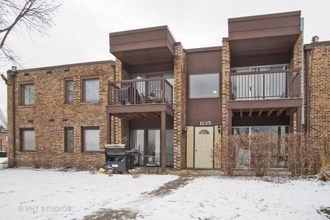 1135 Pleasant Run Dr #708, Wheeling, IL 60090 photo 1