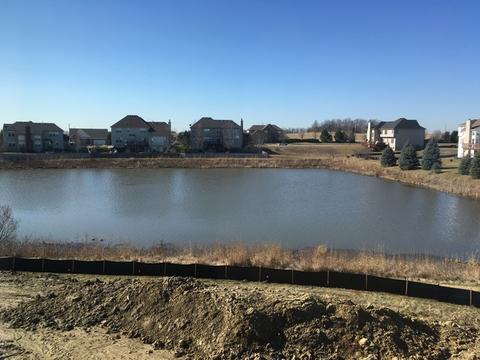 13502 Arborview Cir, Plainfield, IL 60585 photo 25