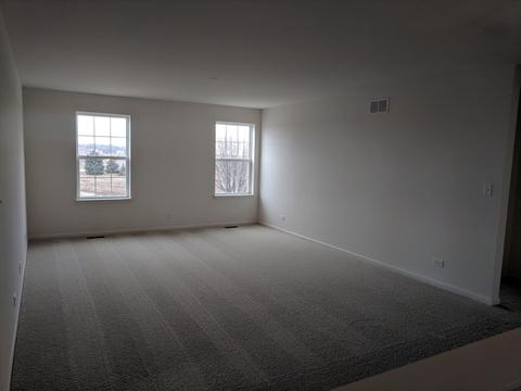 13502 Arborview Cir, Plainfield, IL 60585 photo 14