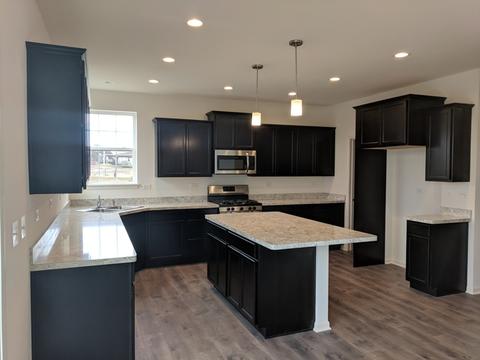 13502 Arborview Cir, Plainfield, IL 60585 photo 9