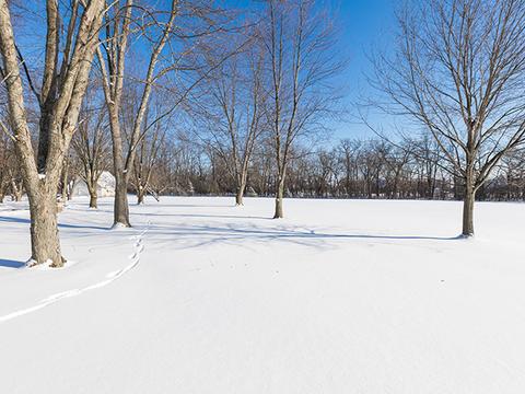 4 N782 Dunham Rd, Wayne, IL 60184 photo 4