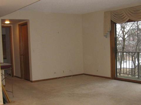 1591 E Thacker St #501, Des Plaines, IL 60016 photo 3