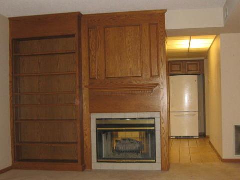 1591 E Thacker St #501, Des Plaines, IL 60016 photo 5