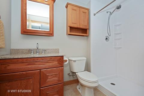 224 Atwell St, Elgin, IL 60124 photo 19