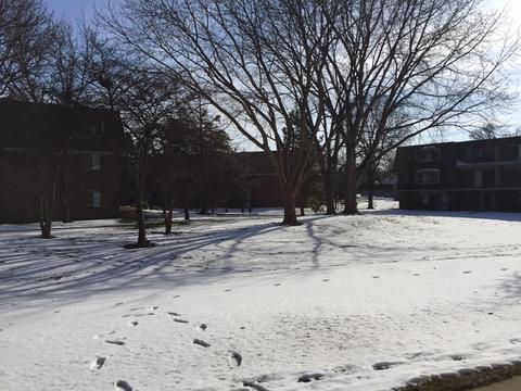 148 E Bailey Rd #D, Naperville, IL 60565 photo 12