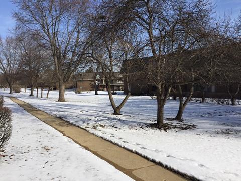 148 E Bailey Rd #D, Naperville, IL 60565 photo 11