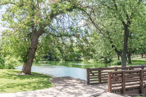 605 Delles Rd, Wheaton, IL 60187 photo 23
