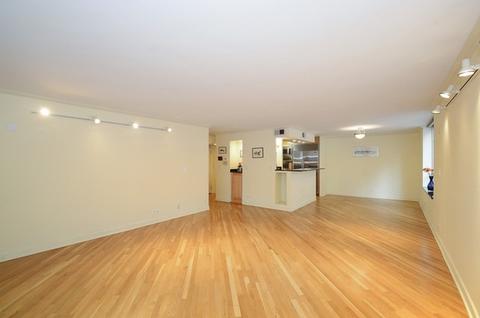 201 E Chestnut St #6A, Chicago, IL 60611 photo 15