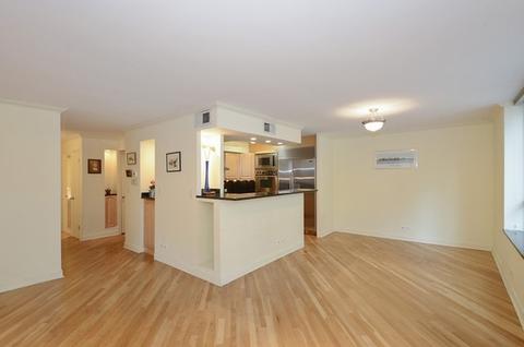 201 E Chestnut St #6A, Chicago, IL 60611 photo 18