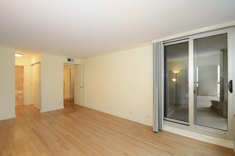 201 E Chestnut St #6A, Chicago, IL 60611 photo 20