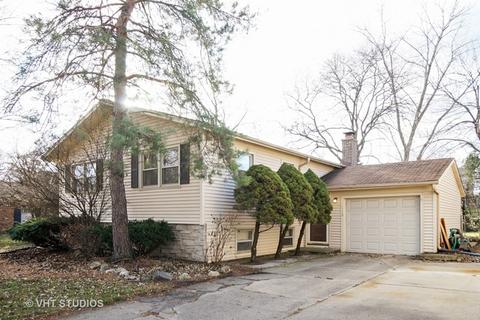 116 Chestnut Ln, Wheeling, IL 60090 photo 1