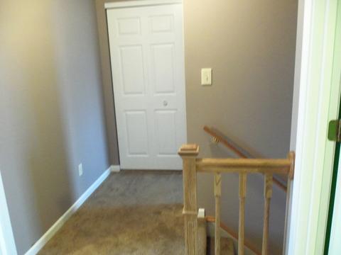 2680 E Girot Ln, Diamond, IL 60416 photo 11