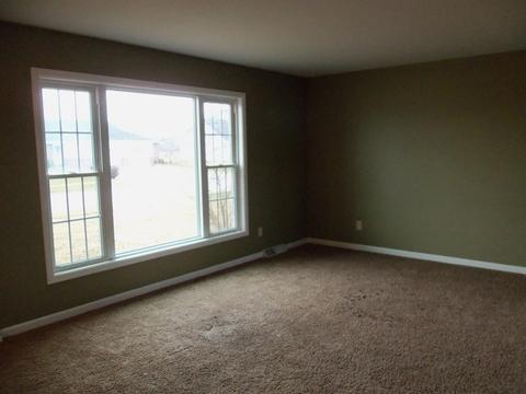 2680 E Girot Ln, Diamond, IL 60416 photo 2