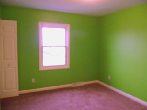 2680 E Girot Ln, Diamond, IL 60416 photo 13