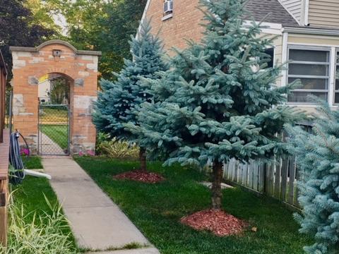 1592 E Walnut Ave, Des Plaines, IL 60016 photo 19