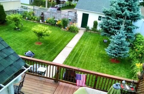 1592 E Walnut Ave, Des Plaines, IL 60016 photo 17