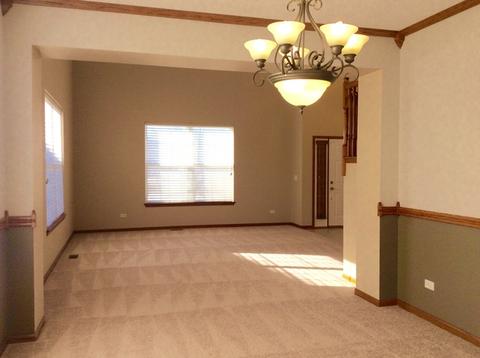 14531 Scott Ct, Plainfield, IL 60544 photo 4