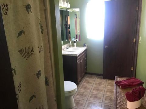1306 Maroon Dr, Elgin, IL 60120 photo 12