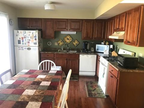 1306 Maroon Dr, Elgin, IL 60120 photo 4