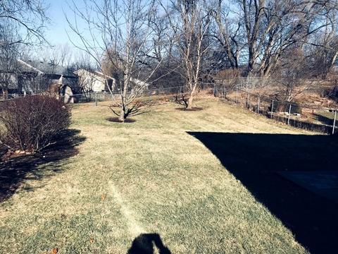 1306 Maroon Dr, Elgin, IL 60120 photo 13