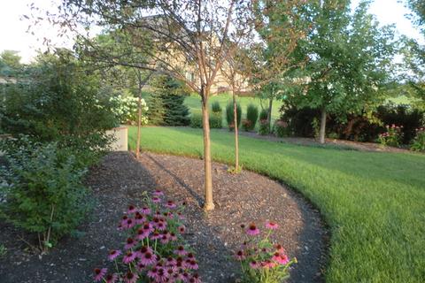 25237 W Zoumar Dr, Plainfield, IL 60586 photo 23