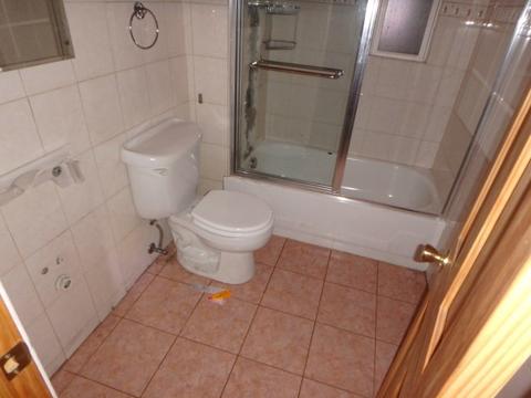7432 S Champlain Ave, Chicago, IL 60619 photo 7