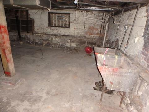 7432 S Champlain Ave, Chicago, IL 60619 photo 21