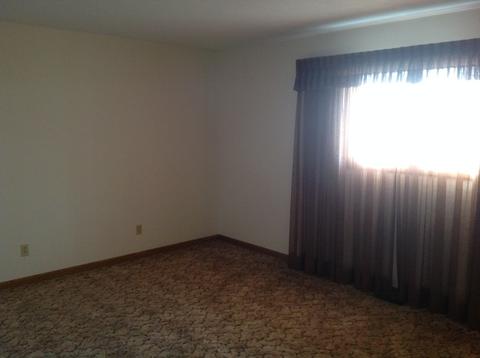 106 Main St, Thomasboro, IL 61878 photo 15