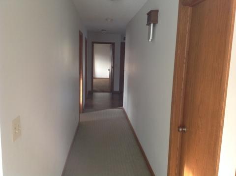 106 Main St, Thomasboro, IL 61878 photo 8