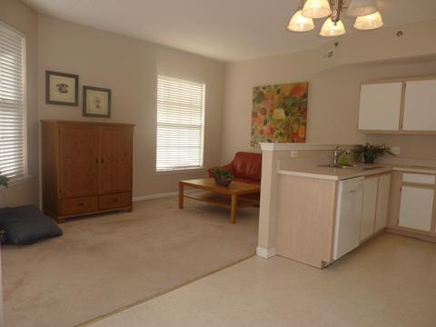 3100 Town Square Dr #105, Rolling Meadows, IL 60008 photo 9