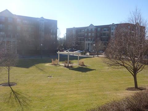 3100 Town Square Dr #105, Rolling Meadows, IL 60008 photo 23