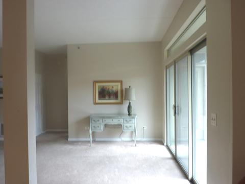3100 Town Square Dr #105, Rolling Meadows, IL 60008 photo 5
