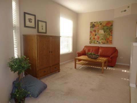 3100 Town Square Dr #105, Rolling Meadows, IL 60008 photo 7