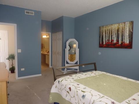 3100 Town Square Dr #105, Rolling Meadows, IL 60008 photo 16