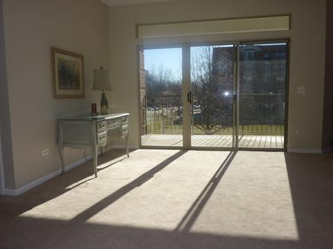 3100 Town Square Dr #105, Rolling Meadows, IL 60008 photo 4