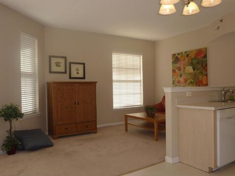 3100 Town Square Dr #105, Rolling Meadows, IL 60008 photo 8