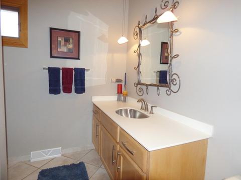 944 Blaze Trl, Wheeling, IL 60090 photo 19