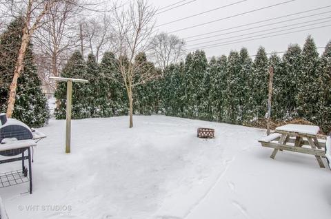 3001 W Falcon Ct, Rolling Meadows, IL 60008 photo 11