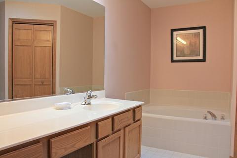 718 Downing Pl, Geneva, IL 60134 photo 13