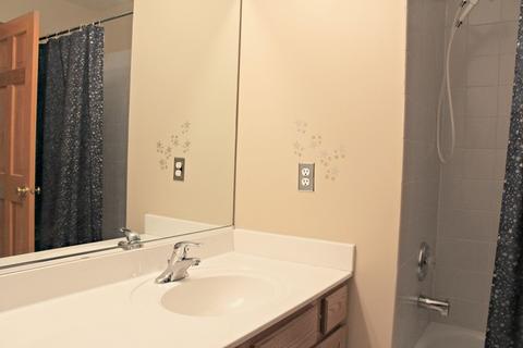 718 Downing Pl, Geneva, IL 60134 photo 11