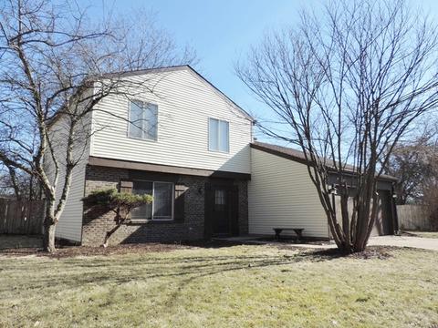 1213 S Appletree Ln, Bartlett, IL 60103 photo 22