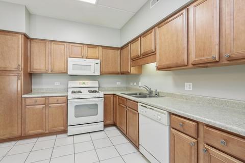 1675 Mill St #404, Des Plaines, IL 60016 photo 3