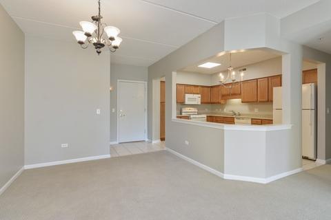 1675 Mill St #404, Des Plaines, IL 60016 photo 4