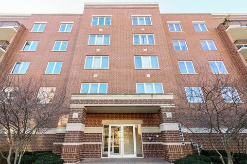 1675 Mill St #404, Des Plaines, IL 60016 photo 1