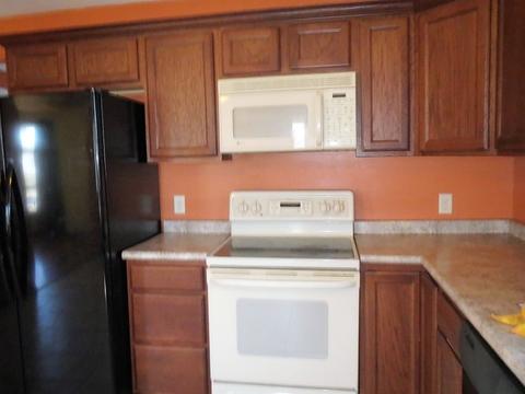 325 E Van Buren St, Ohio, IL 61349 photo 3