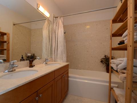 1210 W Grenshaw St, Chicago, IL 60607 photo 38
