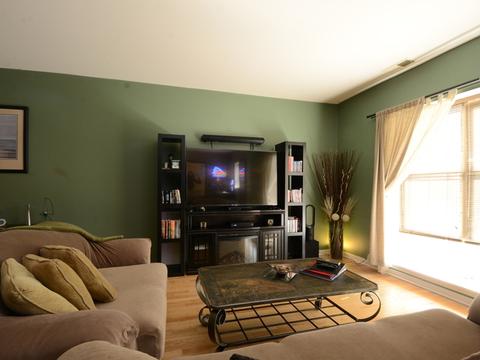 1210 W Grenshaw St, Chicago, IL 60607 photo 14